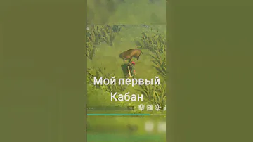 Ласт дей охота на дикого кабана | lastday