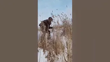 ЗАГАДОЧНАЯ ОХОТА-На ДИКОГО КАБАНА! #охота #кабан #ружьё #выстрел