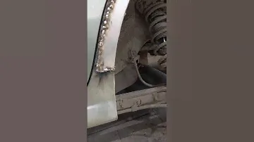 кабанчики в лесу! 22 июля 2022 г.